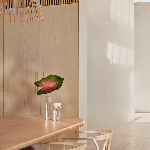 Thankyou Forever Glass Trigger Bottles on bench top